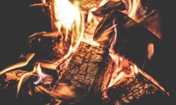 focus-photography-of-a-ignited-firewood-167701 focus-photography-of-a-ignited-firewood-167701